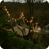 вудхаус